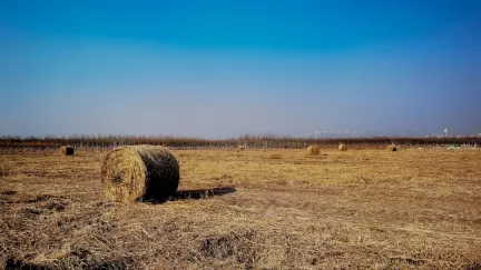 كازينو سلوت شاك تطبيق الهاتف المحمول